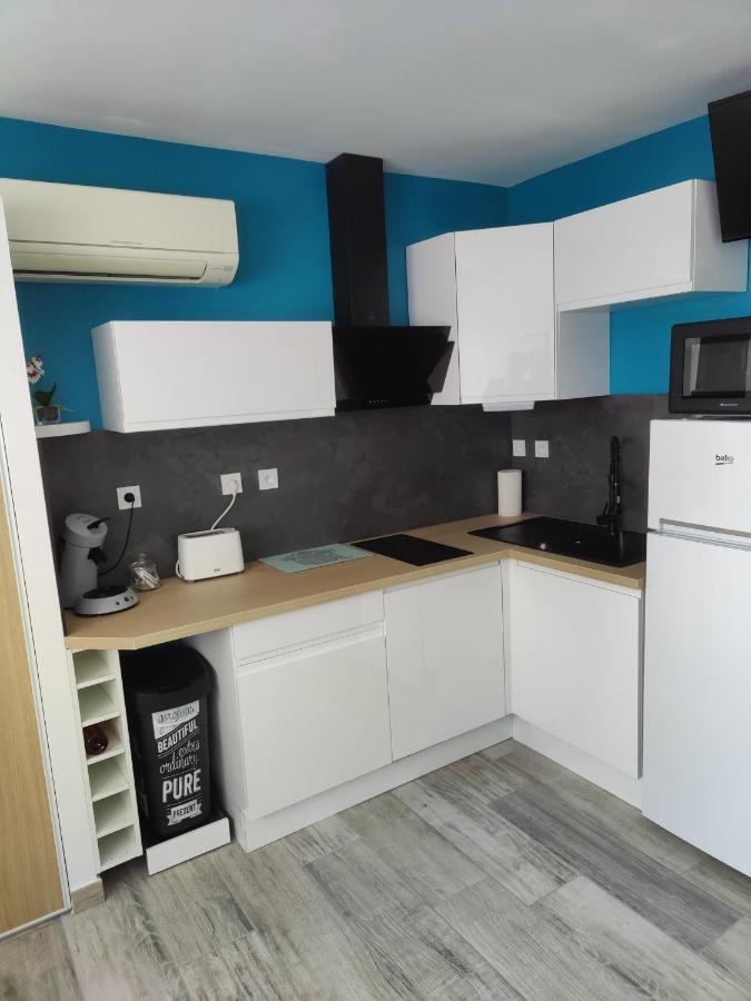 Studio Climatise 50 M.Du Port Saint-Cyprien  Eksteriør bilde