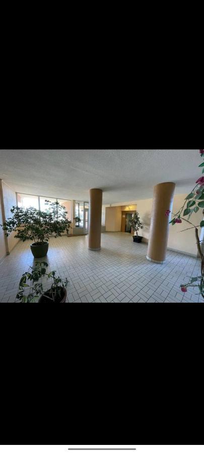 Studio Climatise 50 M.Du Port Saint-Cyprien  Eksteriør bilde